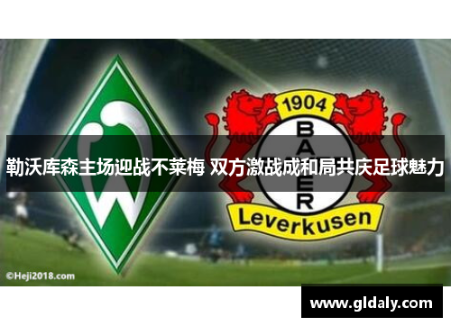 勒沃库森主场迎战不莱梅 双方激战成和局共庆足球魅力